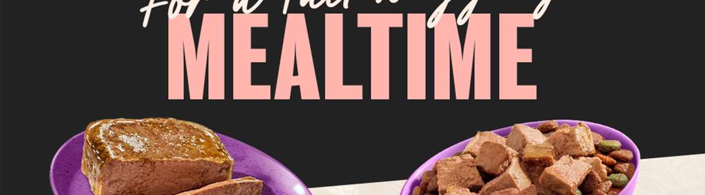 Quality is at the center of every Cesar recipe. High-quality ingredients and carefully crafted recipes provide delicious meals that support your adult dog's daily enjoyment and overall well-being.