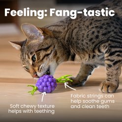 Catstages Bouncing Grape Teether Cat Chew Toy with Catnip Oil Coating, Purple slide 2 of 6
