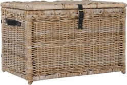 happimess Michael Wicker Storage Trunk Dog & Cat Basket, 35.5-in, Natural