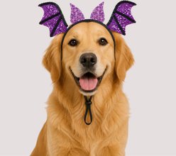 Just Joyful Halloween Bat Dog Headband, Purple/Black slide 2 of 3