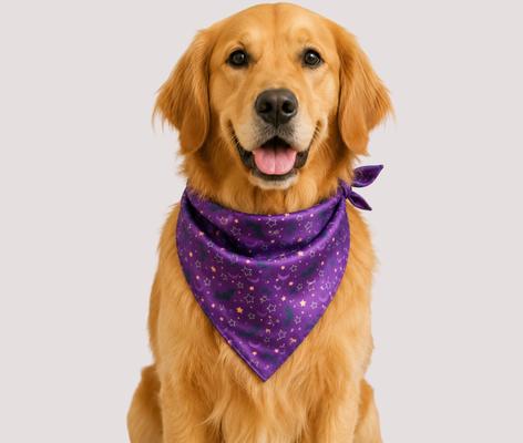 Show full view: Just Joyful Halloween Bat Dog Bandana, Purple slide 2 of 4