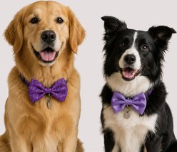 Just Joyful Halloween Bat Dog Bow Set, Multicolor, 2 count slide 2 of 4