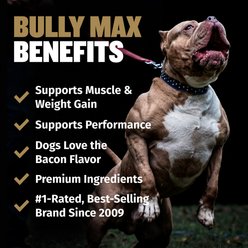 Bully Max Power Chews for Muscle Gain 11-in-1 Pro Supplement for Dogs 10.6-oz pouch slide 2 of 9