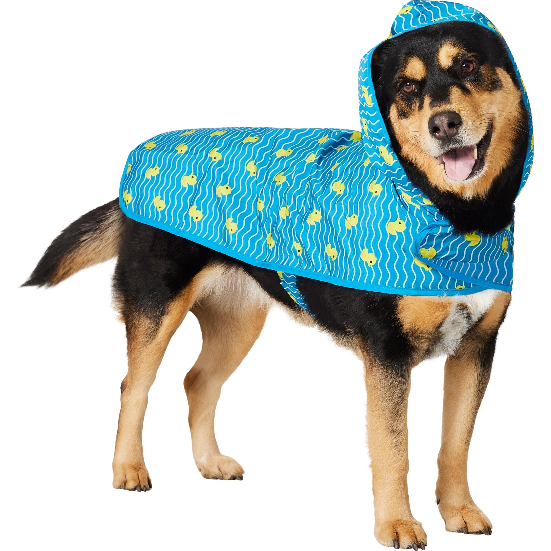 Frisco Lightweight Rubber Ducky Dog Raincoat, Blue Ducky, XX-Large