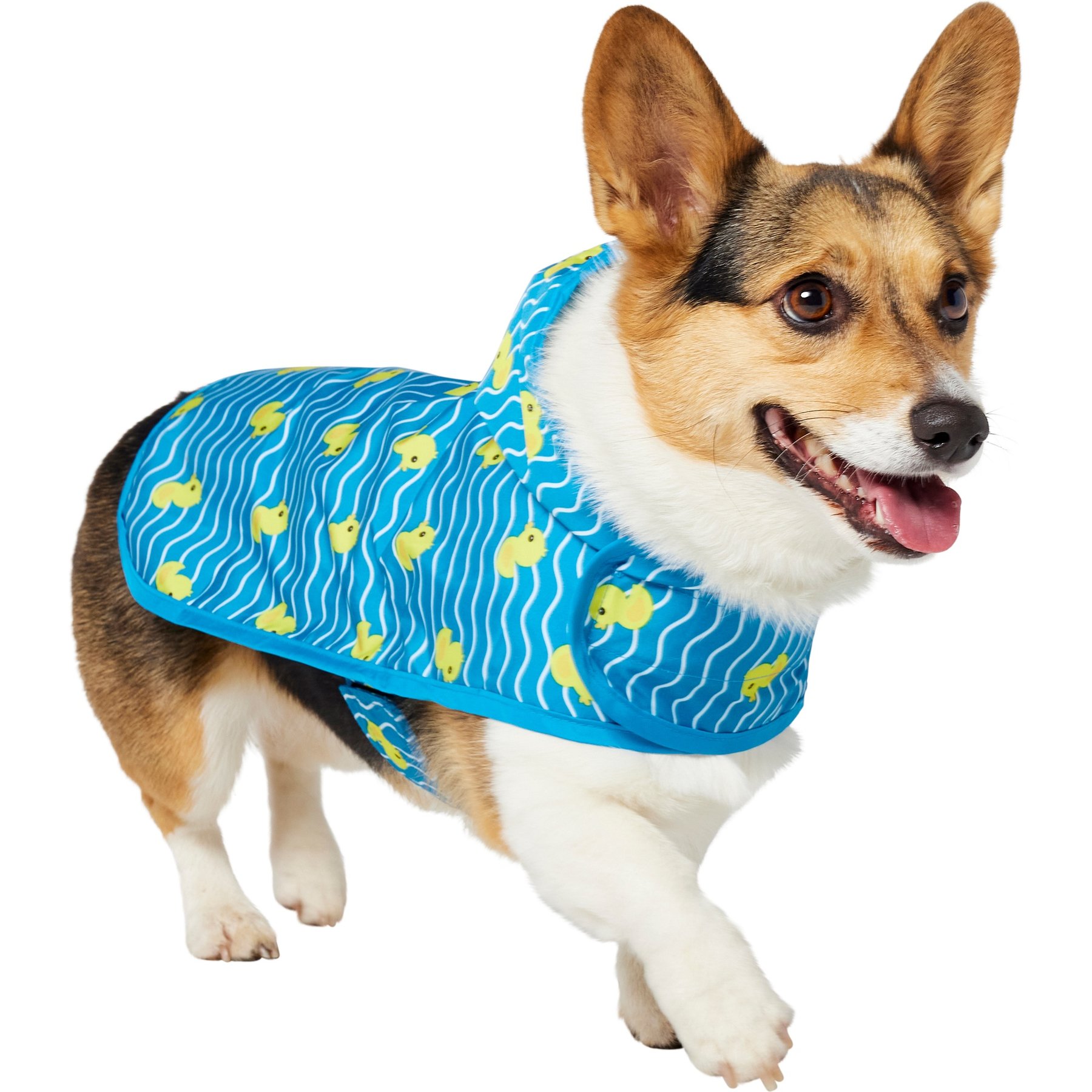 Frisco Lightweight Rubber Ducky Dog Raincoat, Blue Ducky, Medium