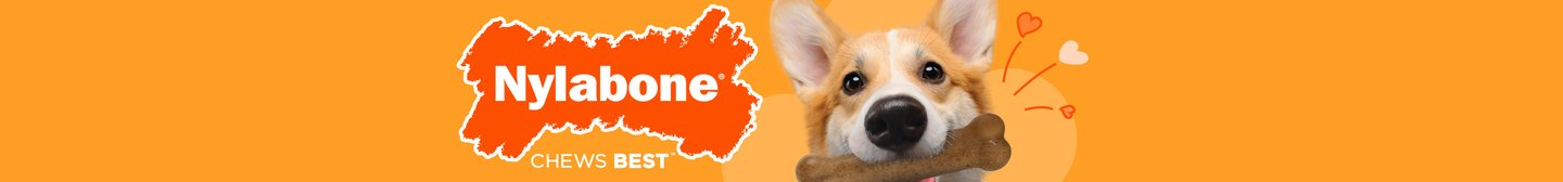 Nylabone Chew Best