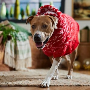 Frisco Snuggle Up Knit Dog & Cat Hoodie, Red, XX-Large