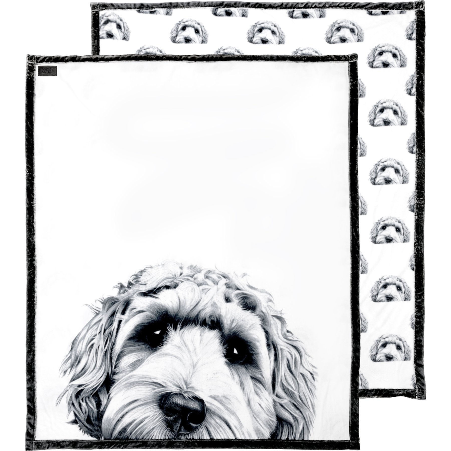 Pavilion Plush Dog Blanket, 50 x 60-in, Black/White