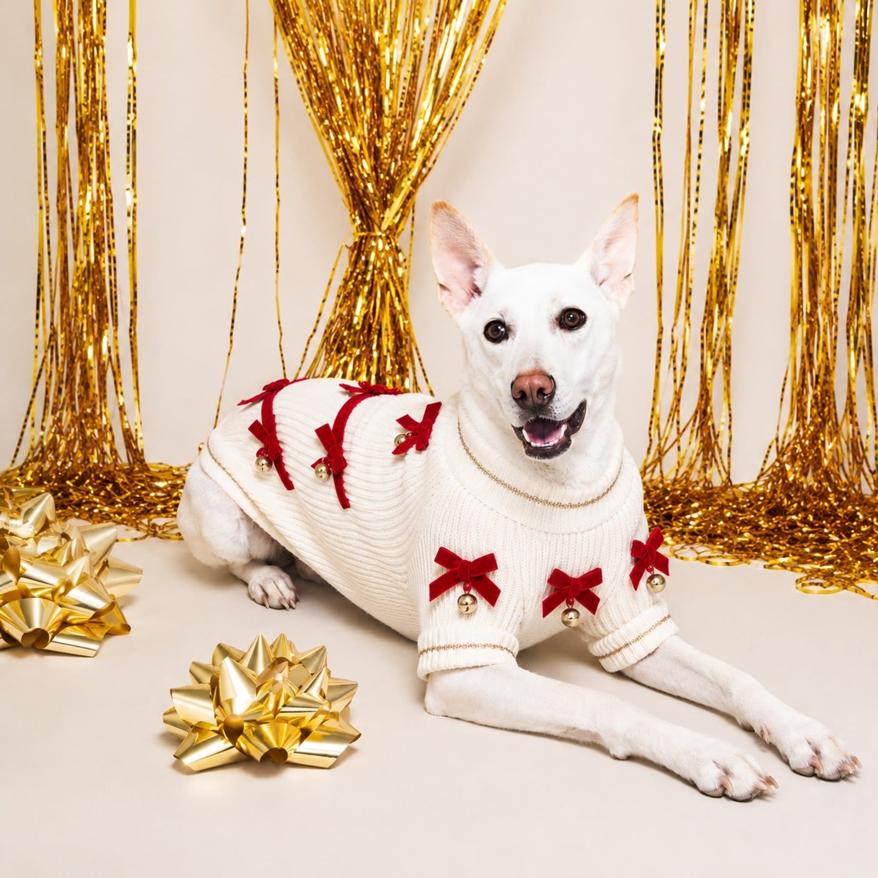 Found My Animal Red Ribbon Dog Sweater, Medium
