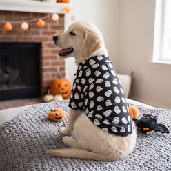 Doggie Design Halloween Camp Ghosts Graphic Dog Shirt, Black, Medium slide 2 of 5