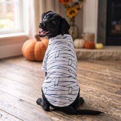 Doggie Design Halloween Camp Mummy Graphic Dog Shirt, White, X-Small slide 2 of 5