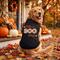 Show in main carousel: Doggie Design Fab-BOO-lous Solid Dog Shirt, Black, X-Small slide 5 of 5