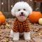 Show in main carousel: Doggie Design Camp Halloween Jack-o-Lanterns Graphic Dog Shirt, Black, X-Large slide 3 of 5