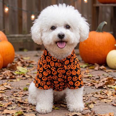 Show full view: Doggie Design Camp Halloween Jack-o-Lanterns Graphic Dog Shirt, Black, X-Large slide 3 of 5