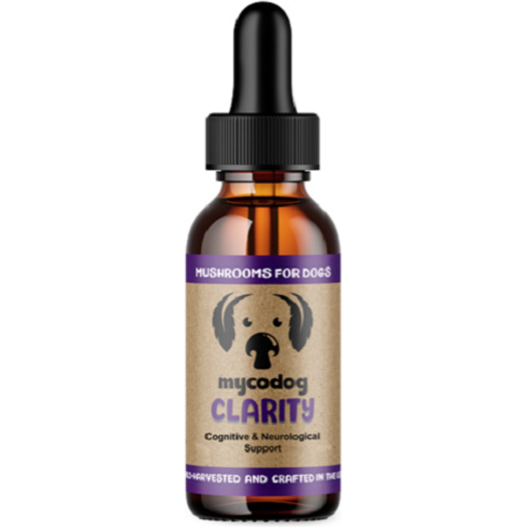 MycoDog Lion’s Mane & Mushroom Blend Cognitive Support Supplement for Dogs, 1-fl oz bottle