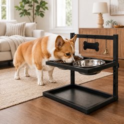 NonoPets Raised Adjustable Elevated Dishwasher Safe Removable Double Lead Free Stainless Steel Dog Bowls, 5-cup