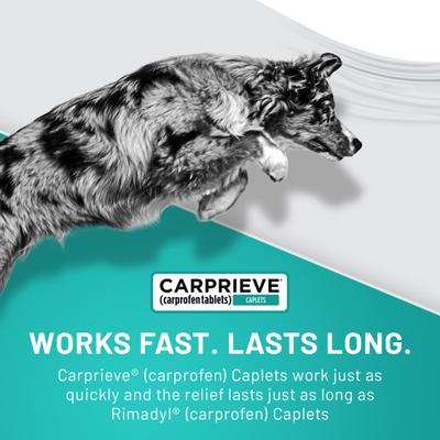Show full view: Carprieve (carprofen) Caplets for Dogs, 75-mg, 60 caplets slide 6 of 7