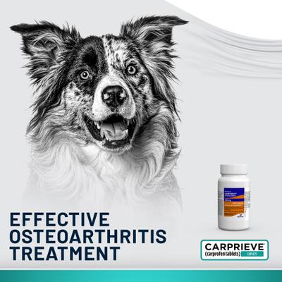 Show full view: Carprieve (carprofen) Caplets for Dogs, 75-mg, 60 caplets slide 3 of 7