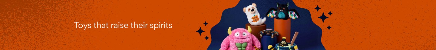 Toys that raise their spirits