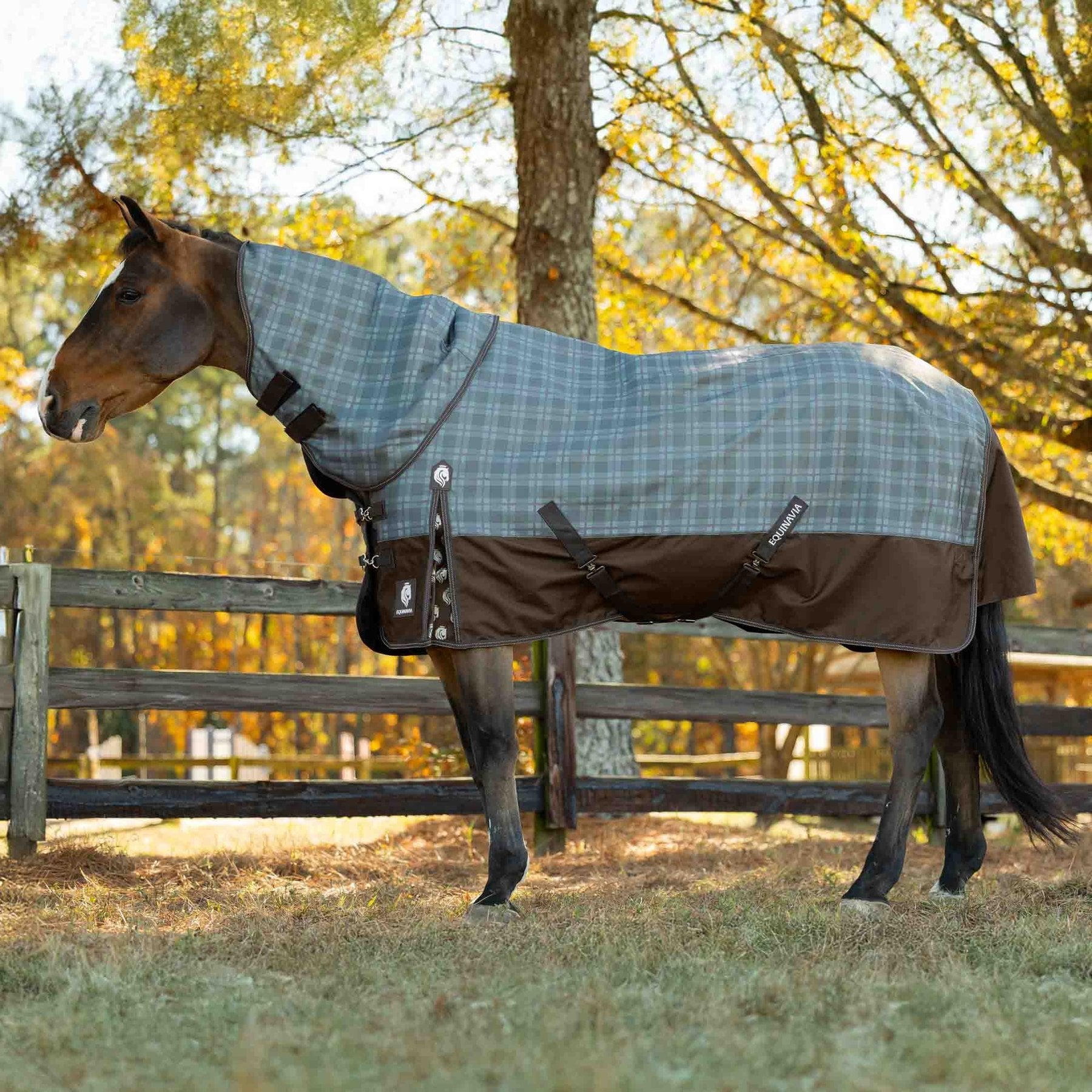 Equinavia Arktis 200-g Horse Turnout Neck Cover, Dark Brown/Thyme, Medium