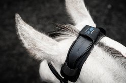 Horseware Ionic Horse Poll Cover, Black