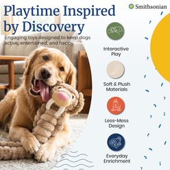 Smithsonian Stuffing-Free Crinkle Sounds & TPR Chew Zone, Interactive Long Animals Sabre Tooth Tiger Squeaky Plush Dog Toy, Medium, 2 count slide 2 of 5