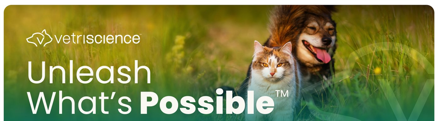 VetriScience Healthy Hip & Joint supplements provide advanced joint support for dogs and cats. The veterinarian-formulated, clinically backed formulas are designed to support joint lubrication, cartilage strength, flexibility, comfort, and stronger, more confident movement.