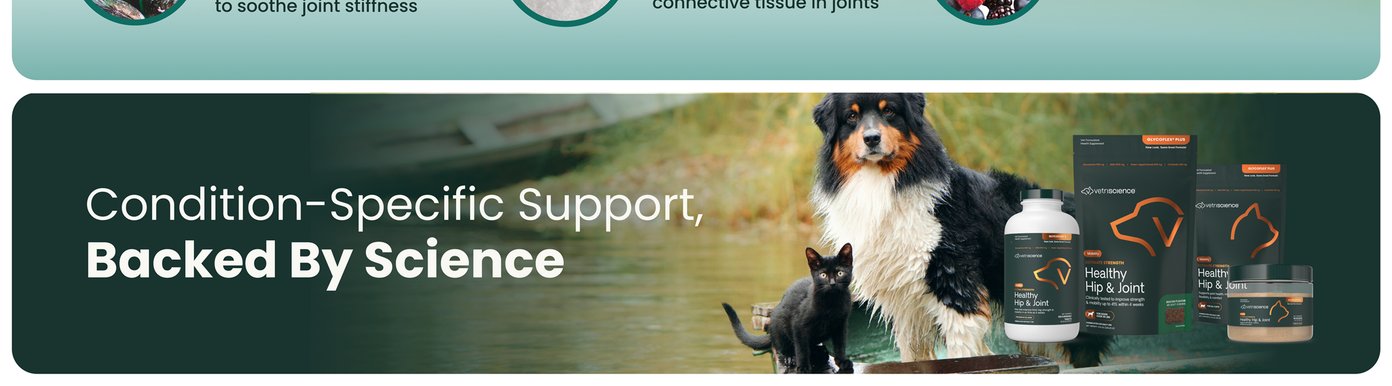 VetriScience Healthy Hip & Joint provides condition-specific support backed by science for both dogs and cats. With multiple supplement formats and clinically studied ingredients, the line is designed to make ongoing joint and mobility support easier to incorporate into a pet's routine.