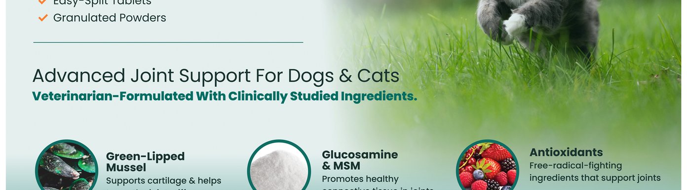 Antioxidants provide additional joint support with free-radical-fighting ingredients. Together with other clinically studied ingredients, they complement a veterinarian-formulated approach to maintaining healthy joints and comfortable movement.