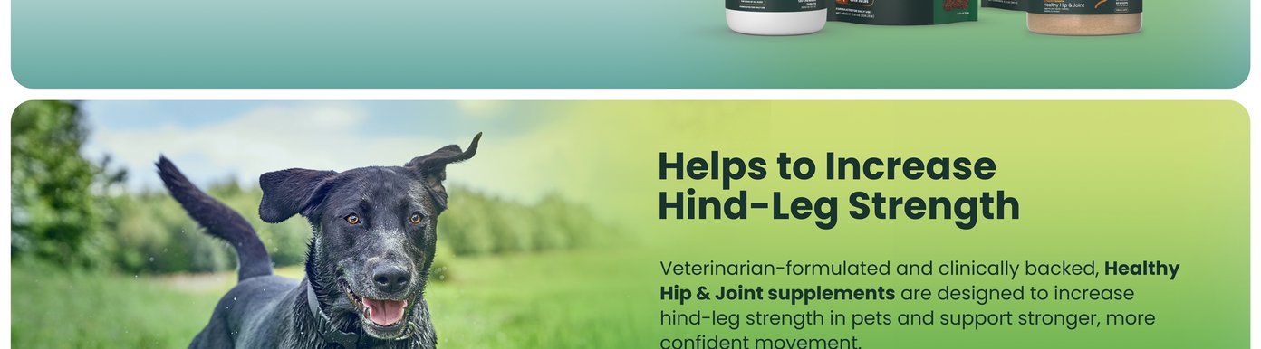 VetriScience offers Healthy Hip & Joint supplements in multiple formats to fit different routines and preferences. Available options include soft chews, easy-split tablets, and granulated powders for convenient daily joint support.
