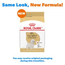 Royal Canin Breed Health Nutrition West Highland White Terrier Adult Dry Dog Food, 10-lb bag slide 2 of 9