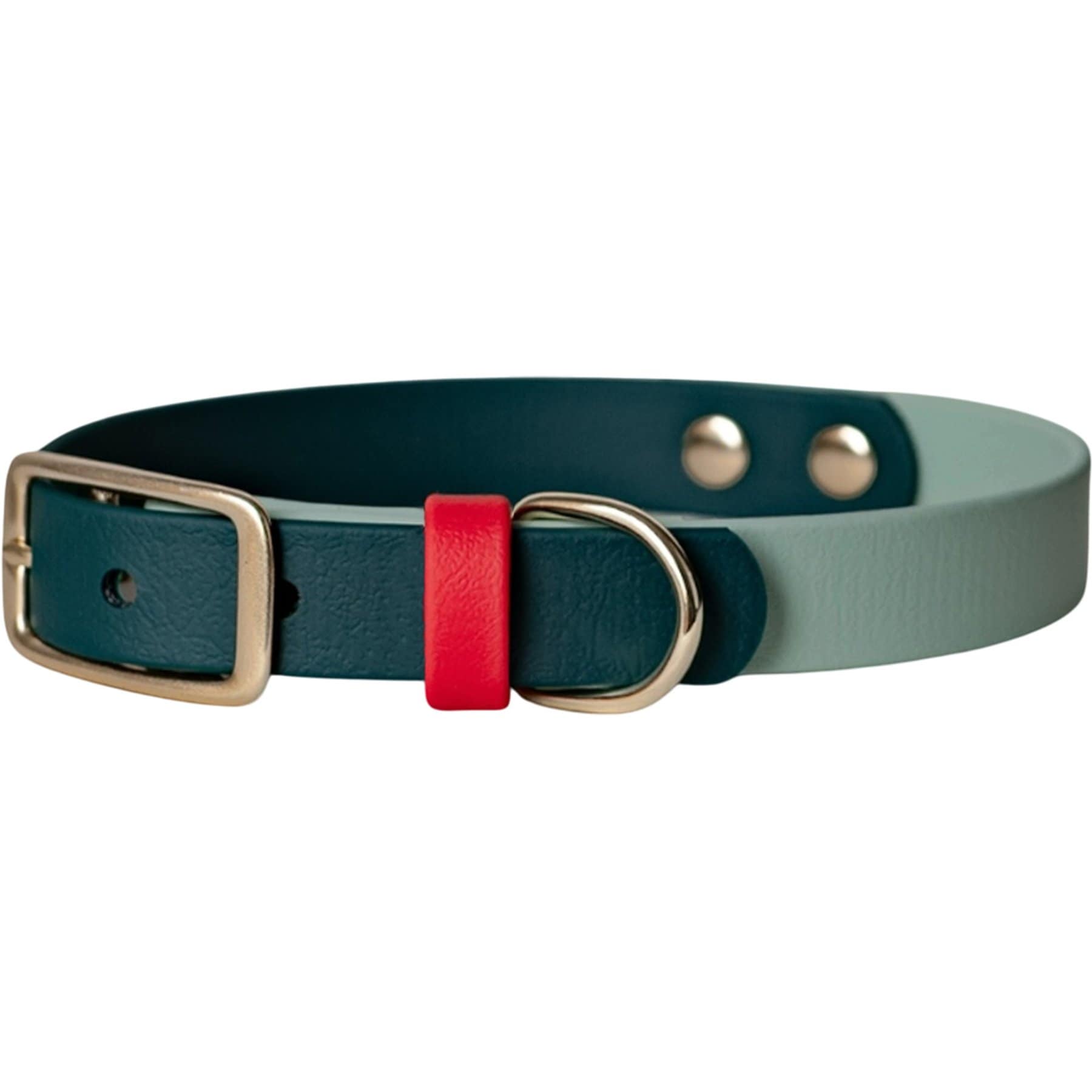 FoxMoth Strawberry Matcha Waterproof Adjustable Dog Collar with Solid Brass Hardware, Multicolor, Small: 12 to 16-in neck, 3/4-in wide