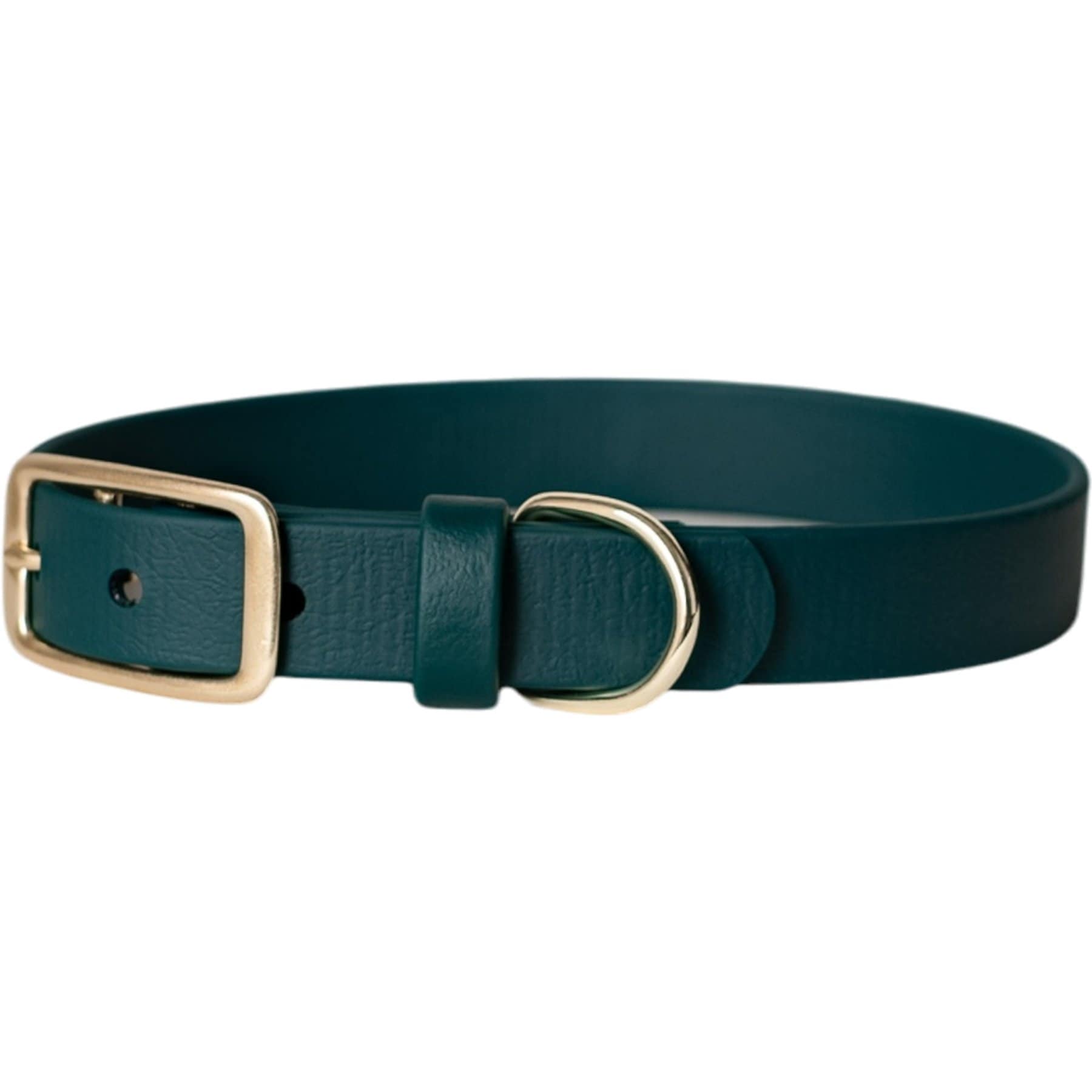 FoxMoth Evergreen Waterproof Adjustable Dog Collar with Solid Brass Hardware, X-Small: 10 to 14-in neck, 3/4-in wide