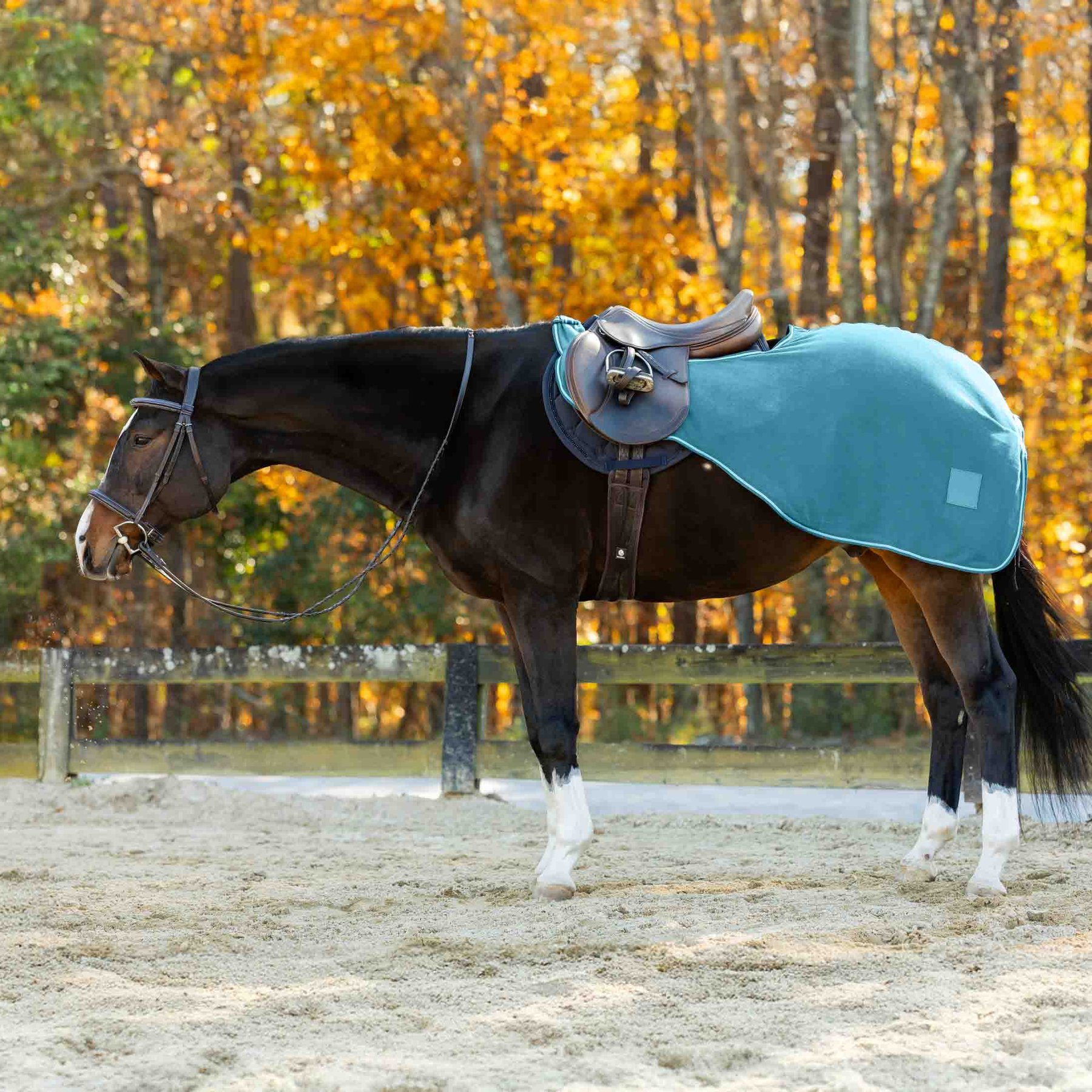 Equinavia Norse Horse Fleece Quarter Sheet, Lyons Blue, Large