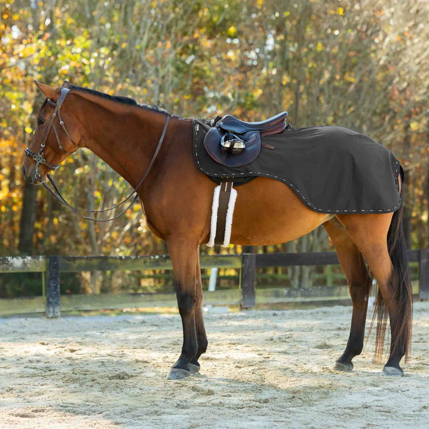Horze Cairo Infrared Therapy Waterproof Horse Quarter Sheet, Black, 69-in