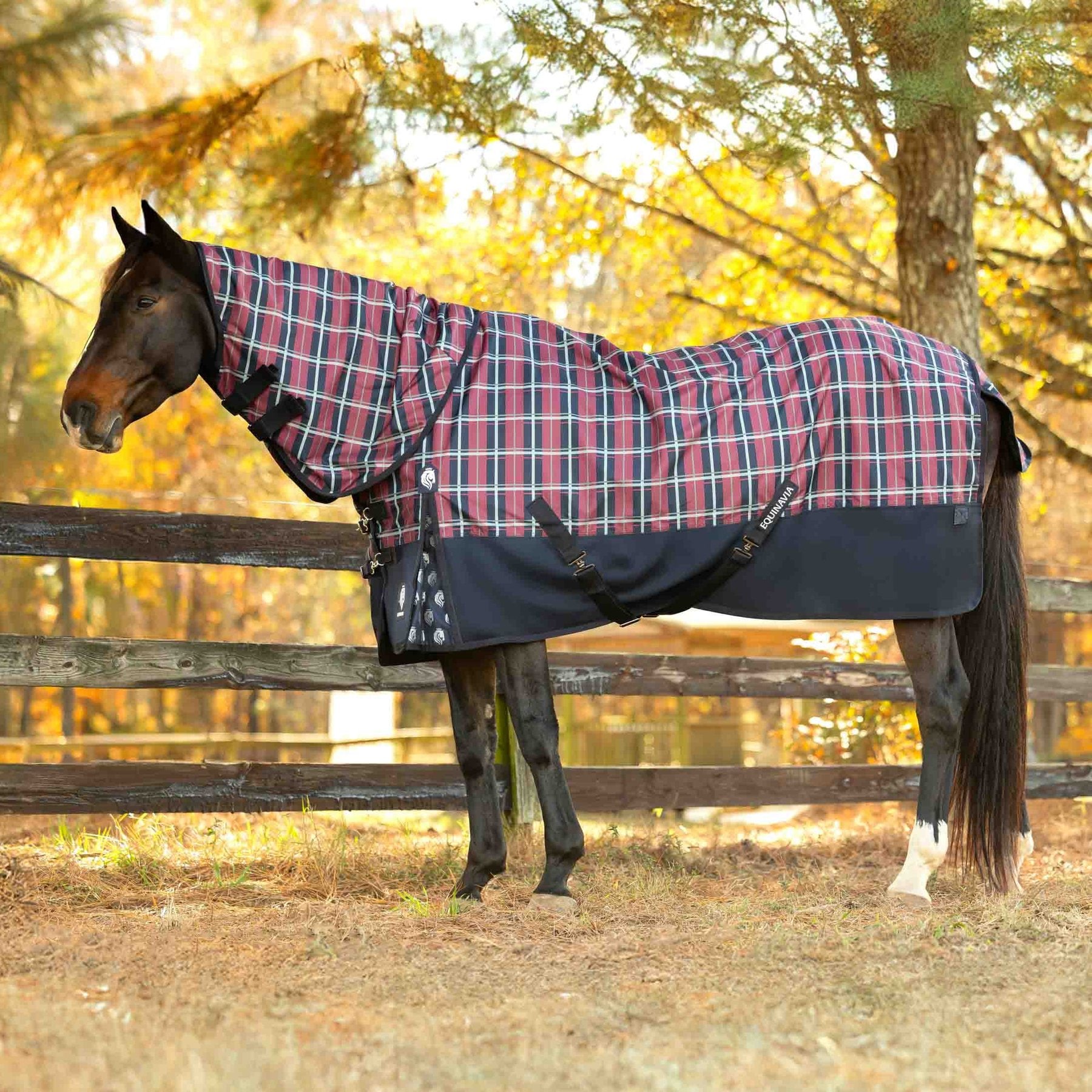 Equinavia Norse 200-g Horse Turnout Neck Cover, Navy/Burgundy, Medium