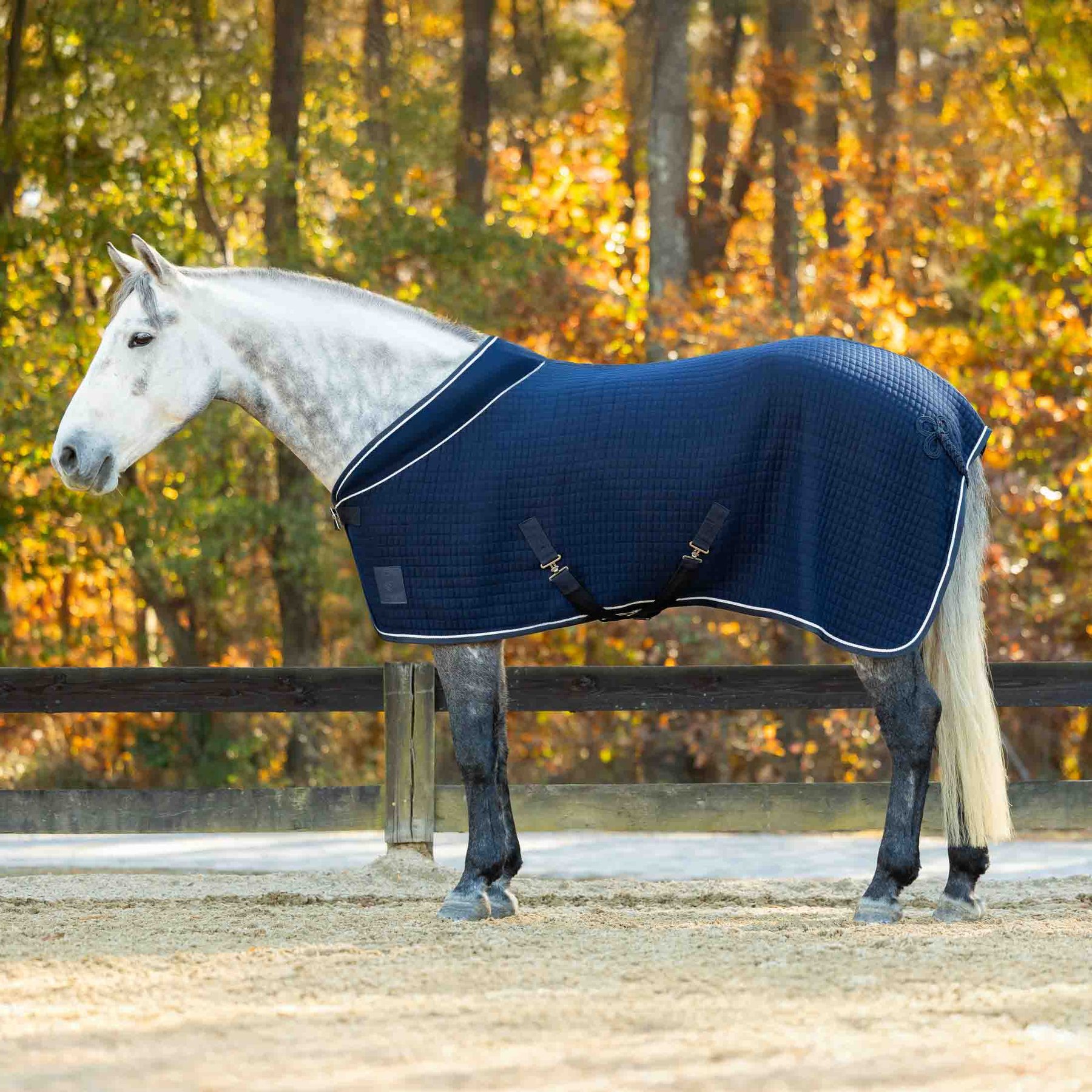 Equinavia Vinter Thermal Horse Stable Blanket, Navy, 78-in