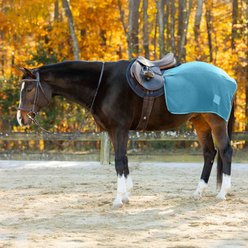 Equinavia Norse Fleece Exercise Horse Quarter Sheet, Lyons Blue