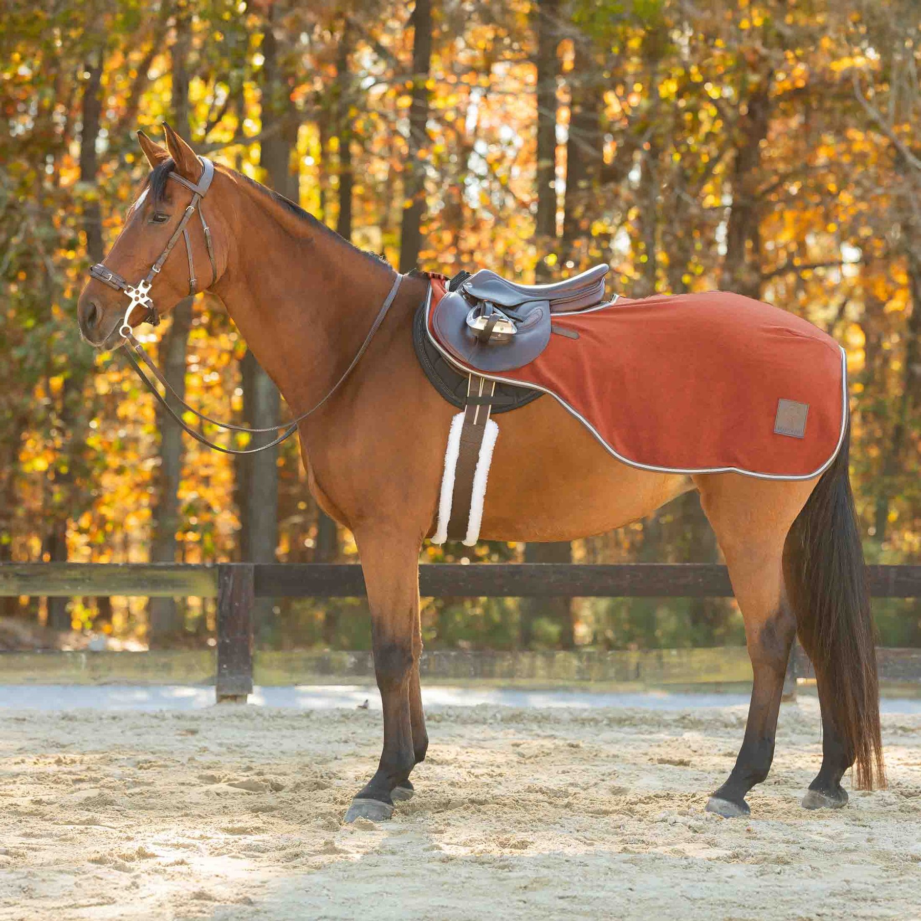 Equinavia Norse Horse Fleece Quarter Sheet, Chili Oil Red, Small