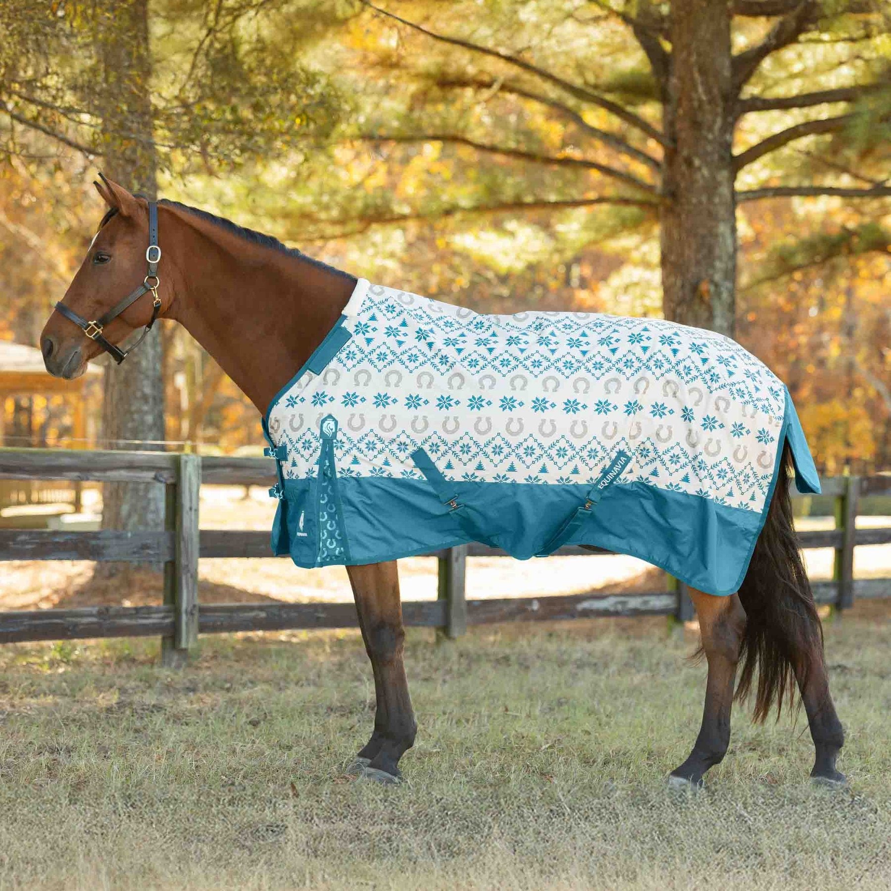 Equinavia Norse Lightweight 100-g Horse Turnout Blanket, Lyons Blue/Vanilla Cream, 66-in
