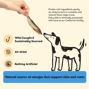 Plato Wild Caught Baltic Sprat Dog Treats, 3-oz bag
