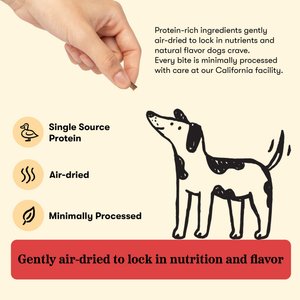 Plato Small Bites Duck Grain-Free Dog Treats, 6-oz bag
