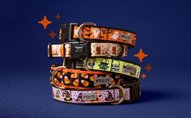 Collars & more