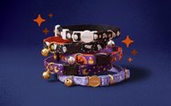 Collars & more
