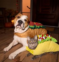 Costumes