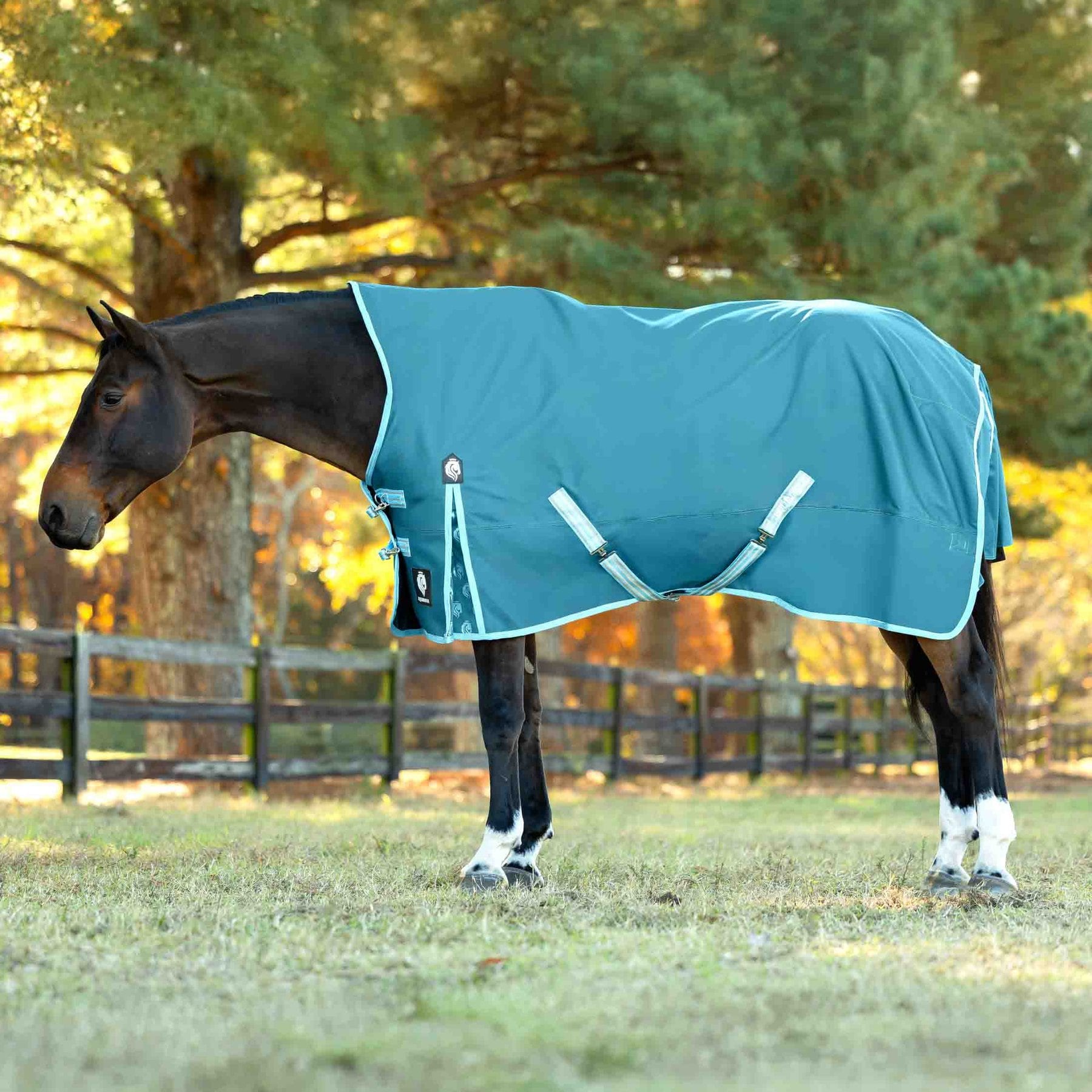 Equinavia Arktis Extended Neck Lightweight 100-g Horse Turnout Blanket, Lyons Blue, 81-in