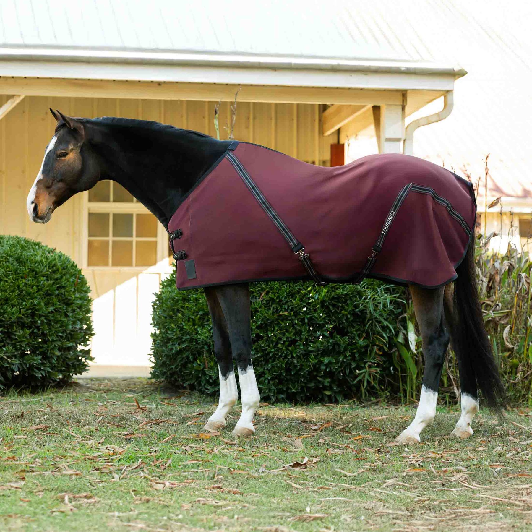Equinavia Fryd Cotton Horse Stable Sheet, Burgundy, 82-in