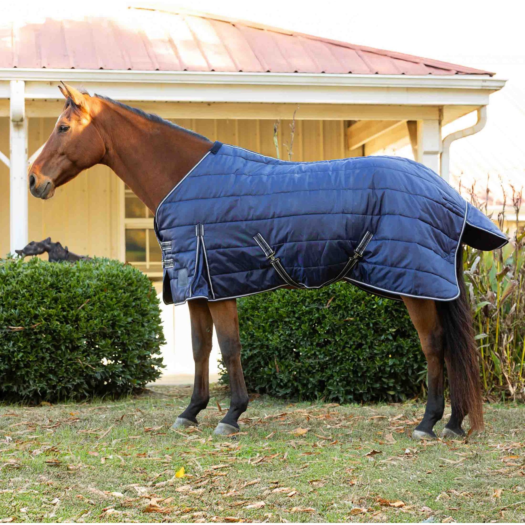 Equinavia Norse Gusseted 200g Horse Stable Blanket, Navy, 75-in