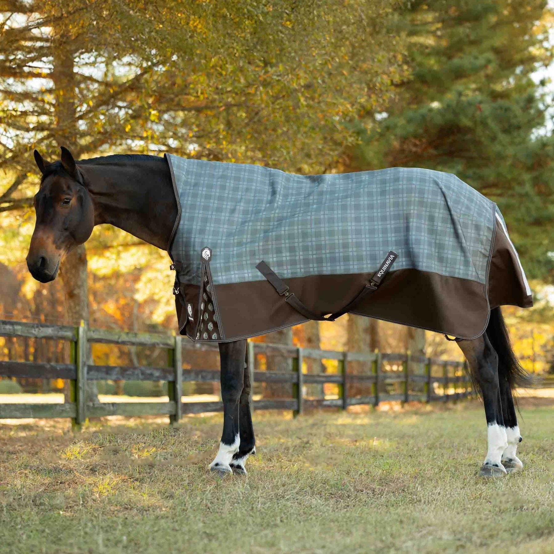 Equinavia Arktis Extended Neck Midweight 200-g Horse Turnout Blanket, Dark Brown/Thyme, 72-in
