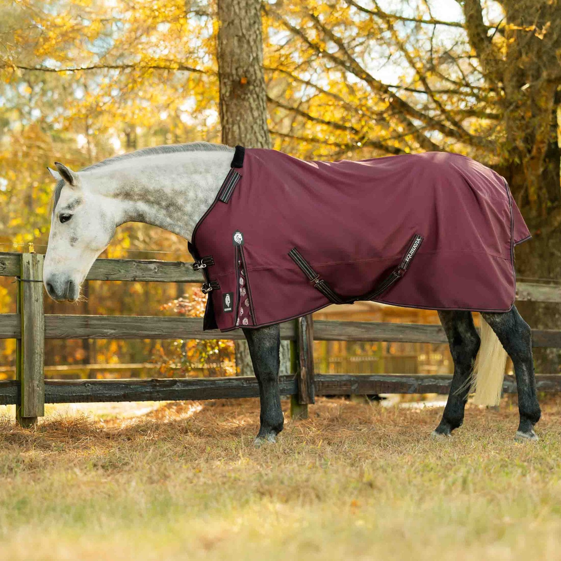 Equinavia Norse Heavyweight 300-g Horse Turnout Blanket, Burgundy, 72-in
